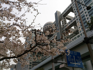 K_QOPR@̎ʐ^001