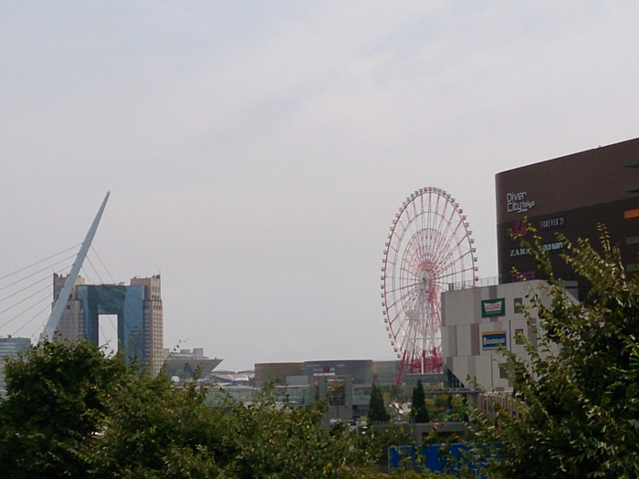 K_QOPR@̎ʐ^009