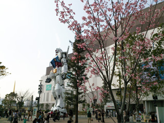 K_QOPR@K_̎ʐ^001