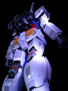 K_QOPR@K_̎ʐ^020