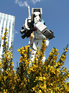 K_QOPR@K_̎ʐ^001