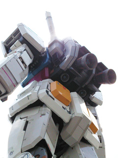 K_QOPR@K_̎ʐ^019