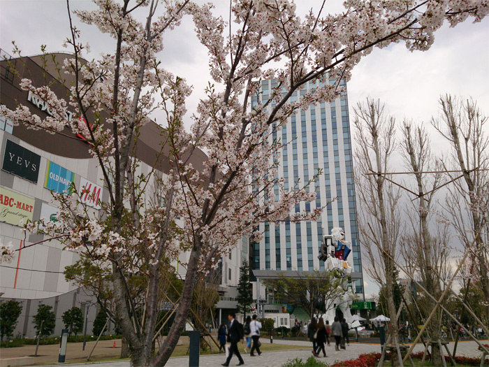 K_QOPS@̎ʐ^014