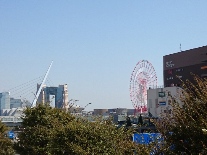 K_QOPS@̎ʐ^009